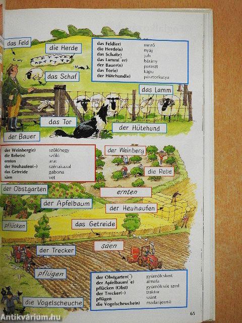 Kezdők német nyelvkönyve