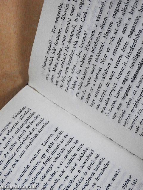 A gyanútlan utazó/Az esély