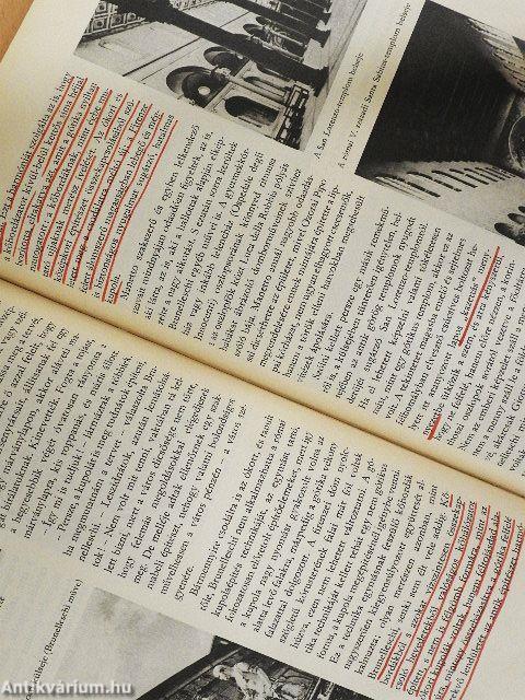 A reneszánsz világa