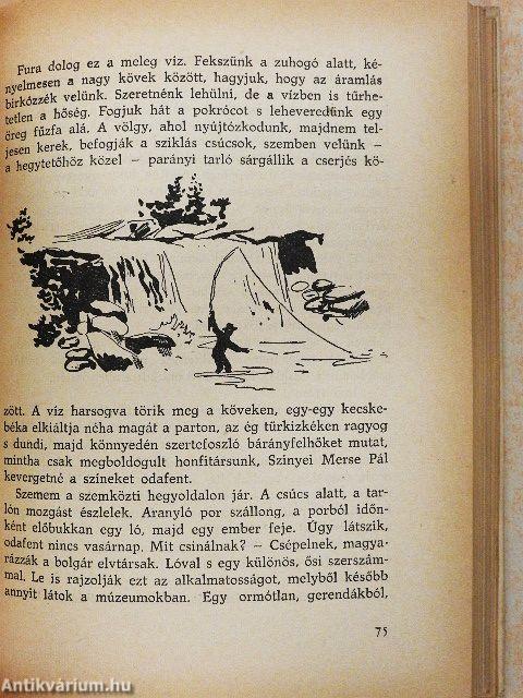 Savanyú tej mézzel