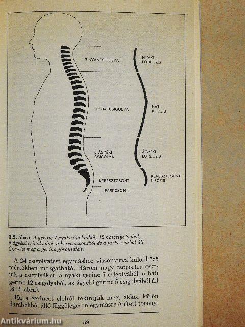 100 jó ötlet gerincpanaszokkal küszködőknek