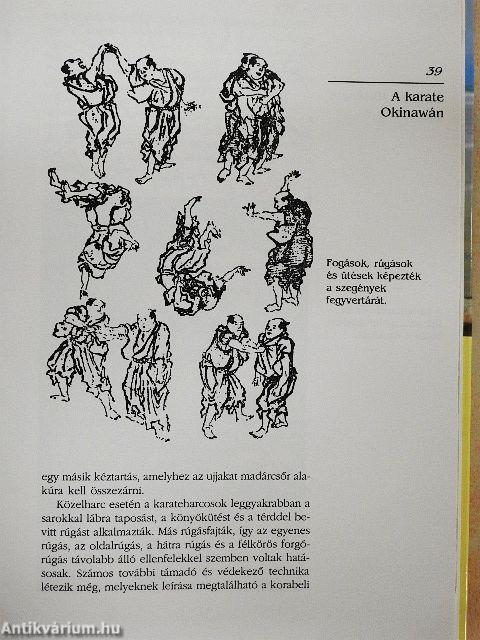 A karate története