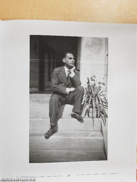 Köszönöm addig is...