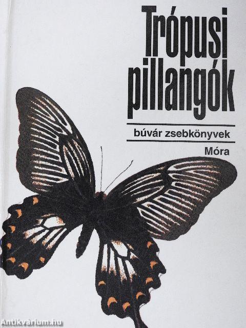 Trópusi pillangók