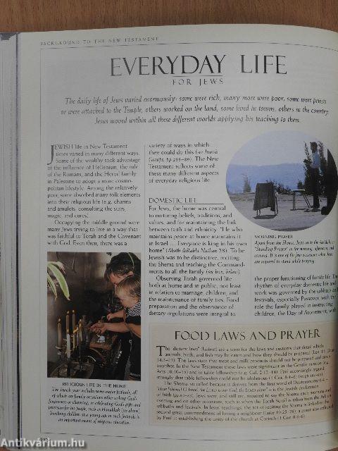 The Complete Bible Handbook