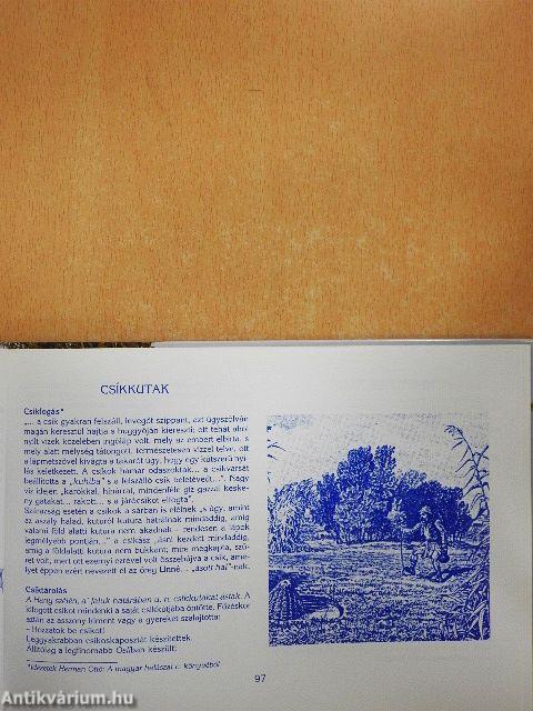 Regélő Fertő-Hany