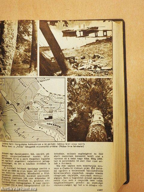 Élet és Tudomány 1967. július-december (fél évfolyam)