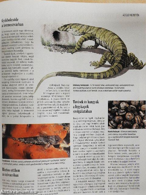 A természet megfejtett titkai