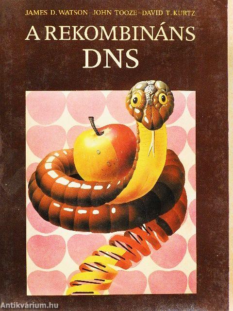 A rekombináns DNS