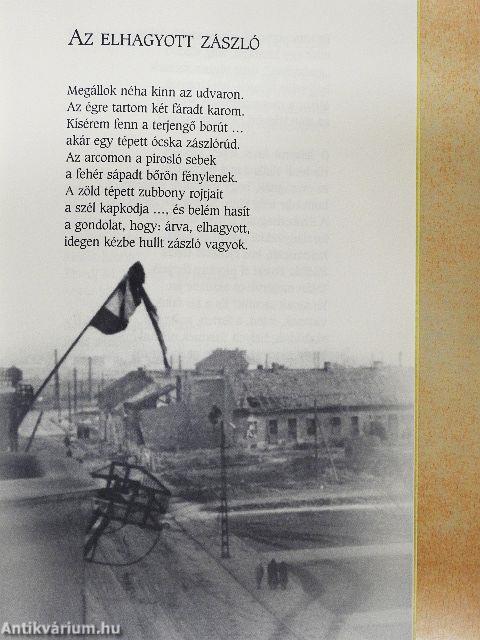 Mondják, a himnuszt énekelték...