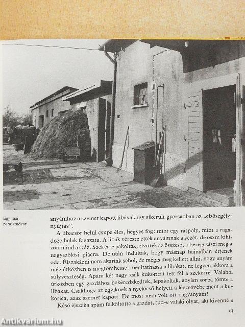 Terülj, asztalkám!