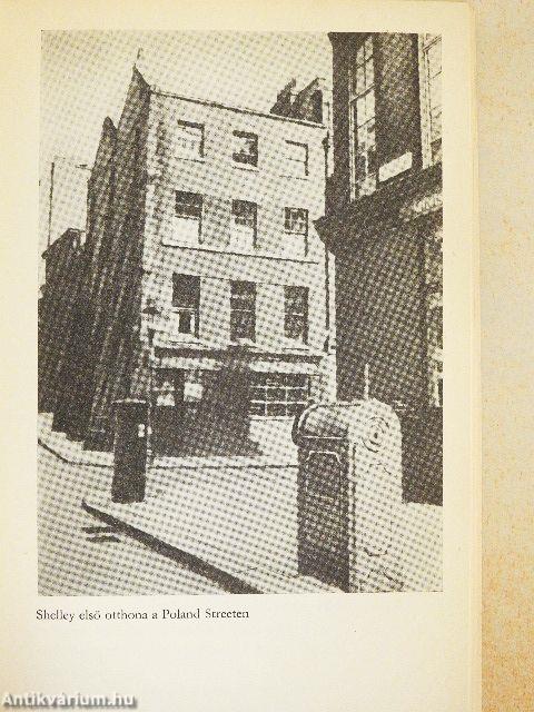 Shelley világa