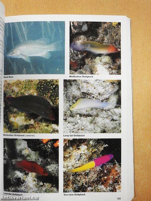 Guide to Sea Fishes of Australia