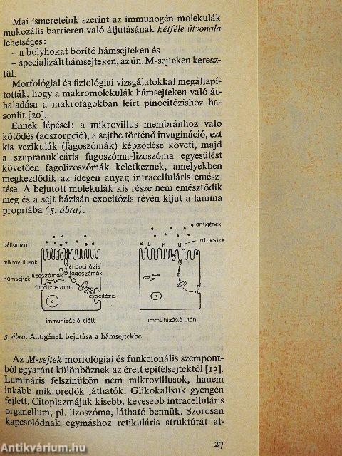 A vékonybél betegségei gyermekkorban