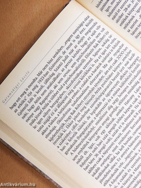 Hogyan halt meg József Attila?