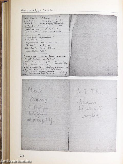 Hogyan halt meg József Attila?