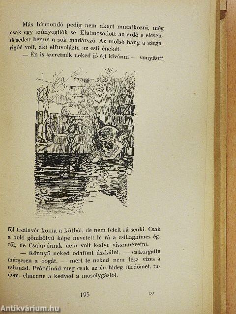 Csilicsali Csalavári Csalavér