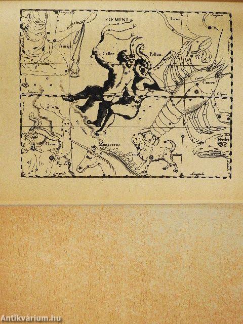 Játékos asztrológia