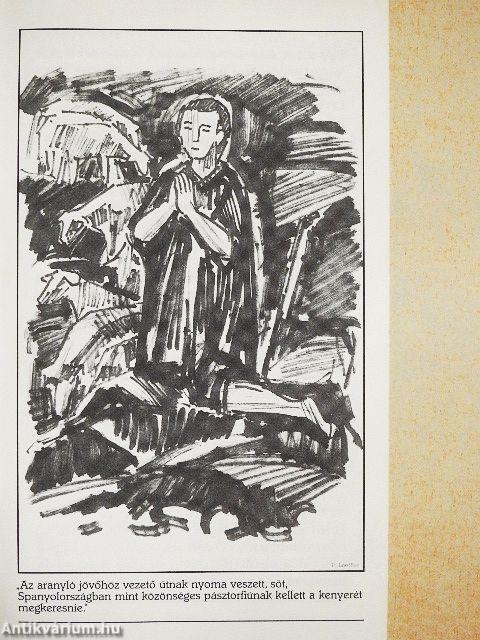 Rossz fából való szent Istenes János