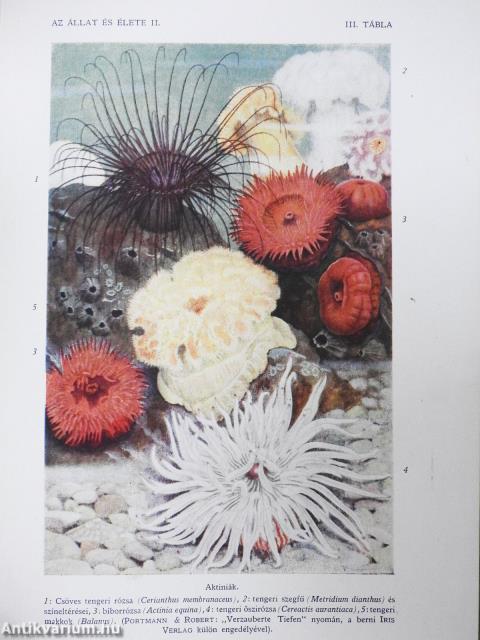 A természet világa I-X.