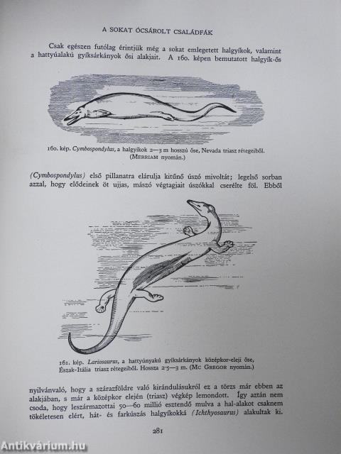 A természet világa I-X.