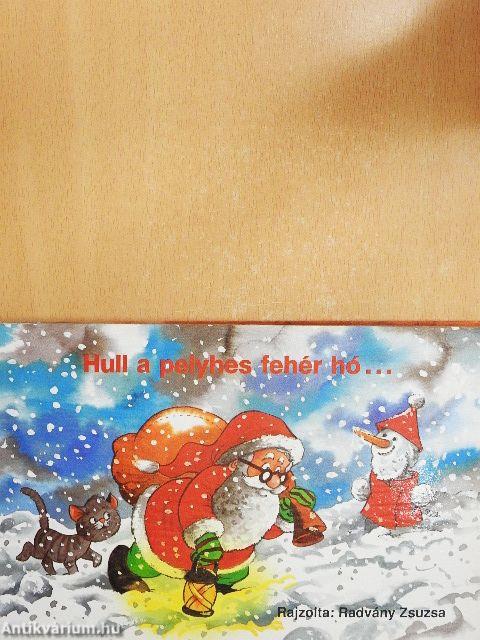 Hull a pelyhes fehér hó...