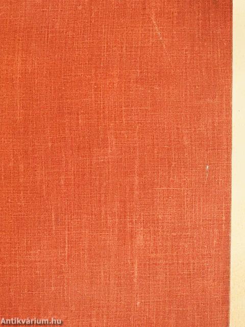 Kecskemét és Kiskunság vörös lobogója alatt