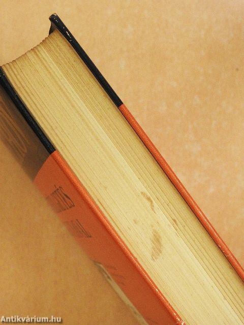 Beszélgetés a kutyával