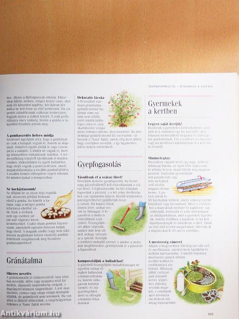 1001 tennivaló a kertben