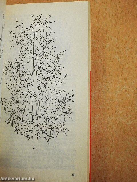 Az őszibarack és termesztése