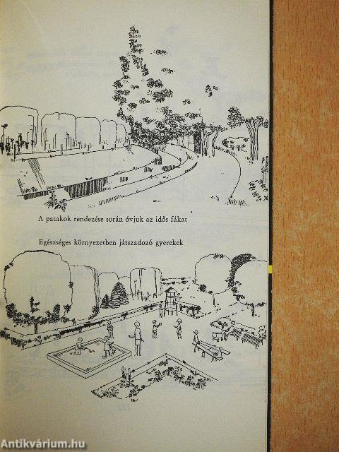 Utcák és terek növényei