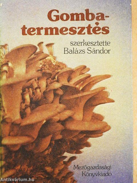 Gombatermesztés