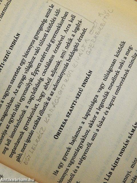 Észak-amerikai indiánok titokzatos élete