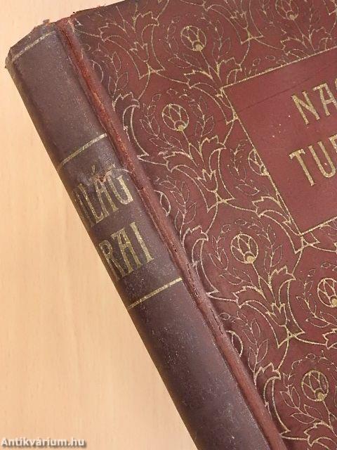 Nagy tudósok