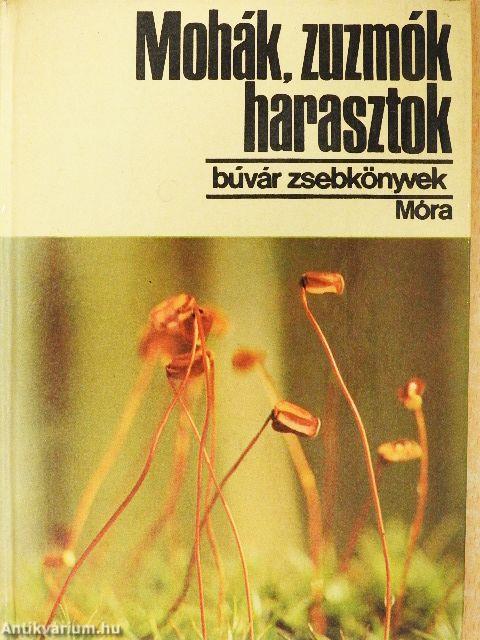 Mohák, zuzmók, harasztok