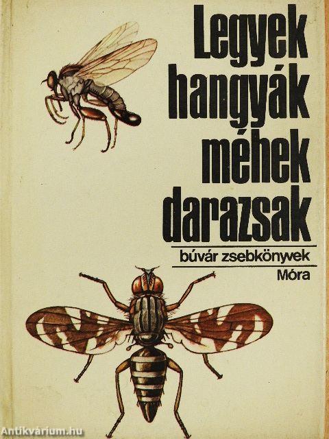 Legyek, hangyák, méhek, darazsak