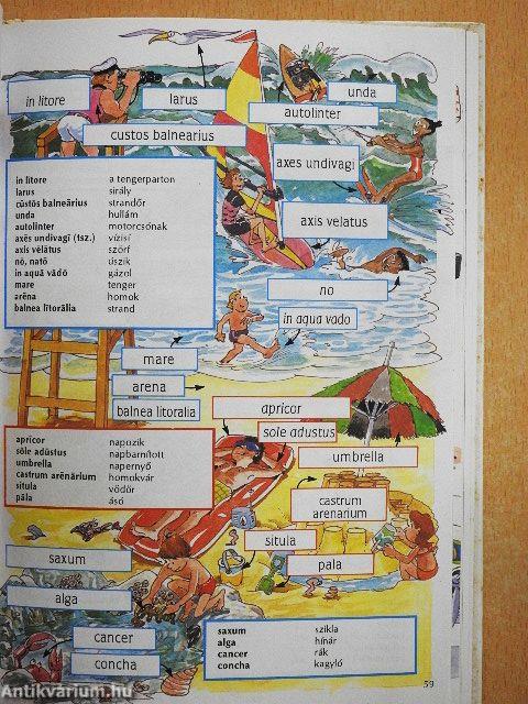 Kezdők latin nyelvkönyve