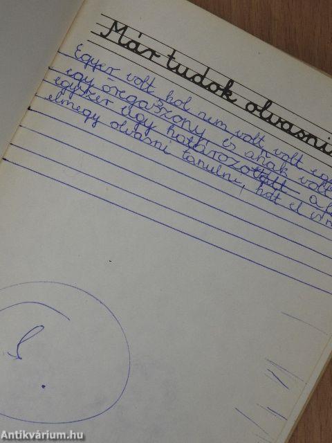 Egy testvérrel annyi baj van