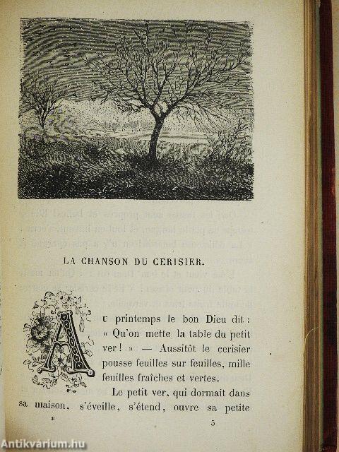 La tirelire aux histoires I.