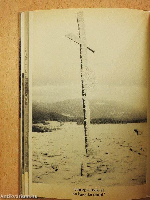 Erdélyi történetek