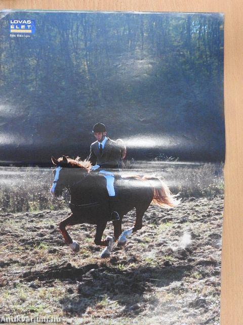 Lovasélet 2000. november