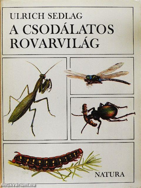A csodálatos rovarvilág