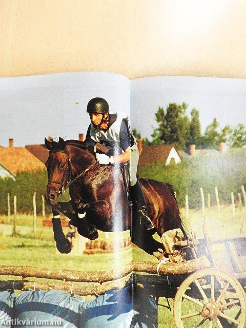 Lovasélet 2001. november