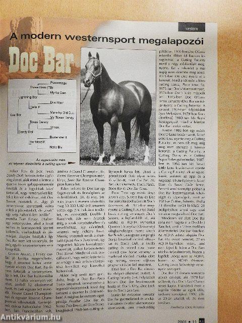 Lovasélet 2001. november