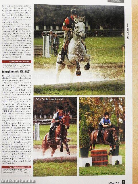 Lovasélet 2003. november