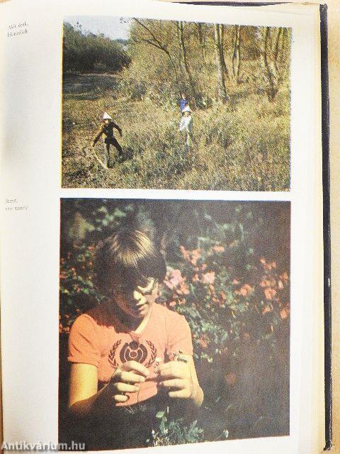 Bihari gyermekmondókák