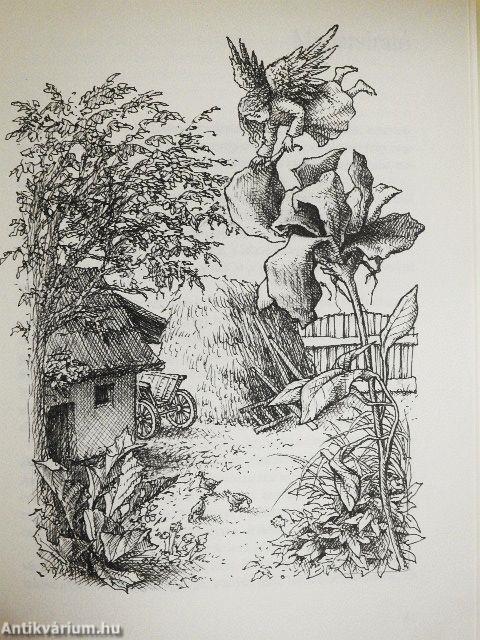 Búcsúzik a kapitány