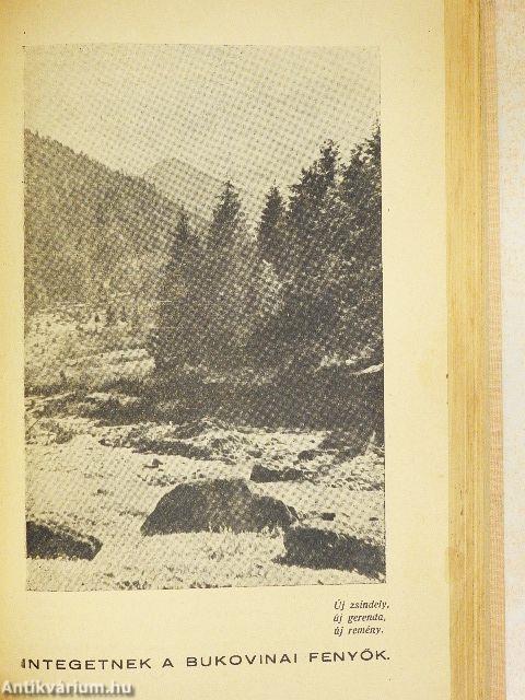 Százezer szív sikolt