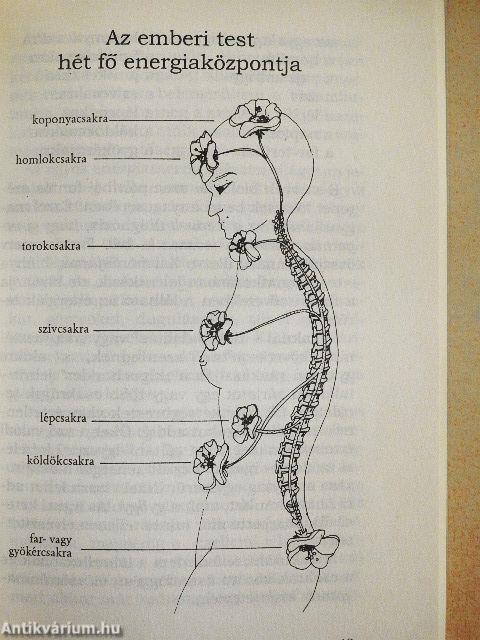 Csakra talpmasszázs