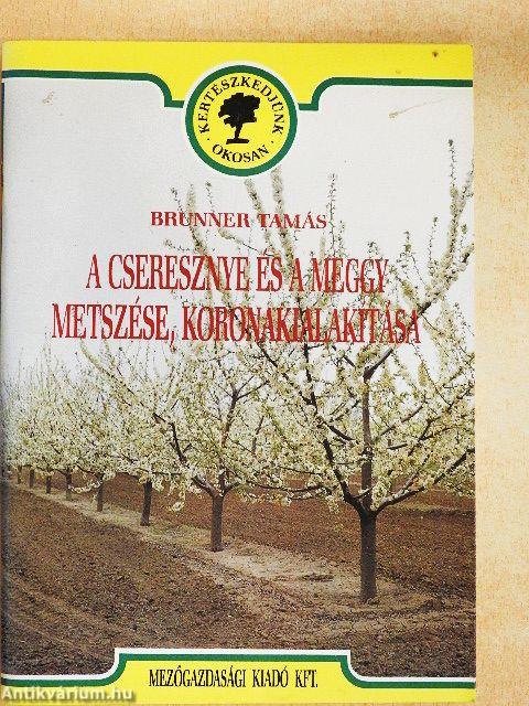 A cseresznye és a meggy metszése, koronakialakítása